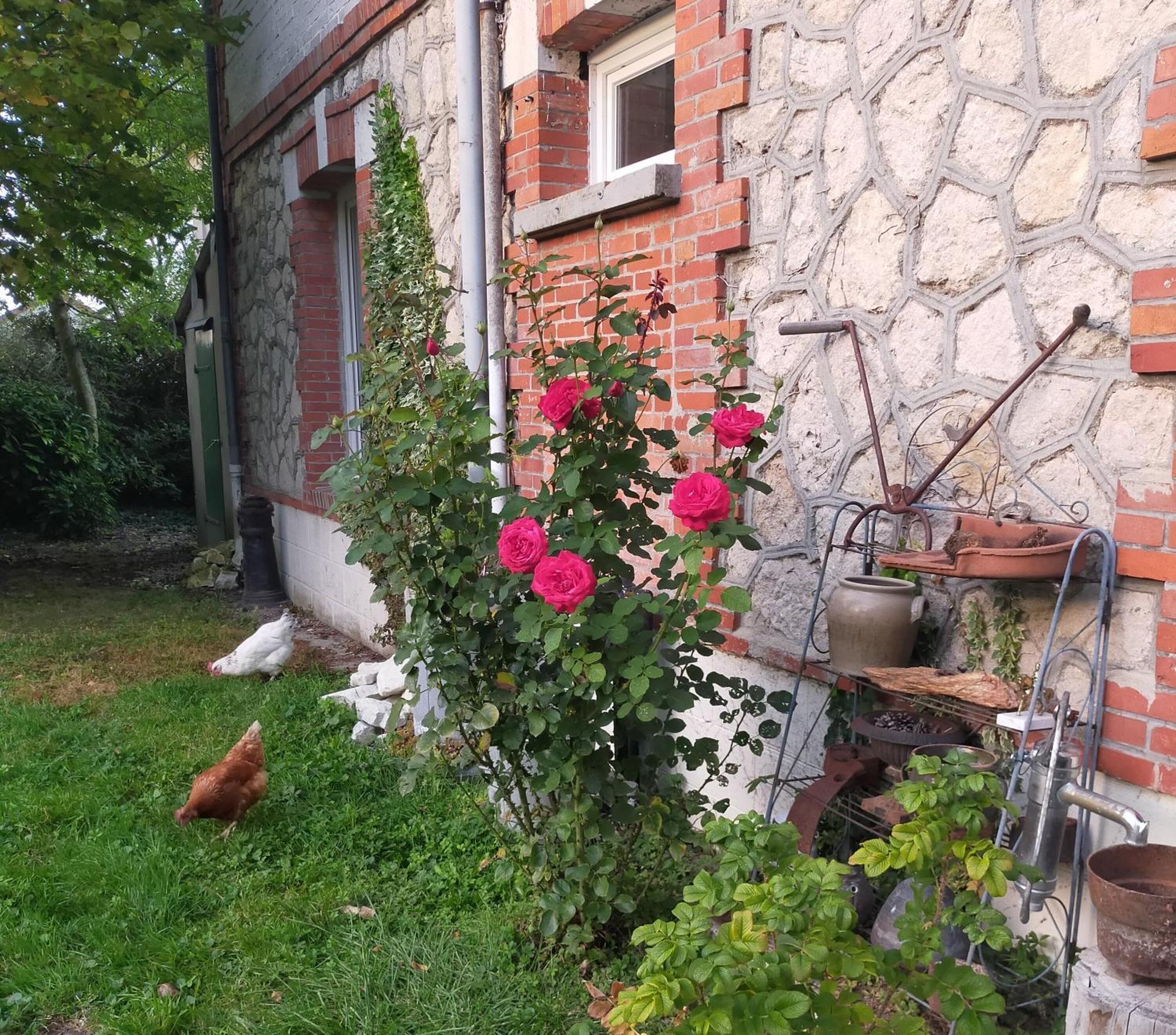 Logis51 Apartment Ville-sur-Tourbe Luaran gambar